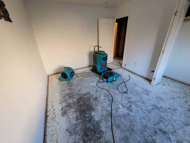 Trusted Water Damage Restoration in Charles City, IA | Fast, Reliable, and Ready to Assist You